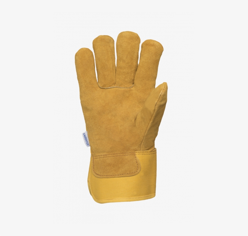 Leather, transparent png download