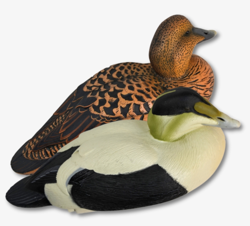 Image Of Ghg Pro-grade Eiders - Mallard, transparent png download