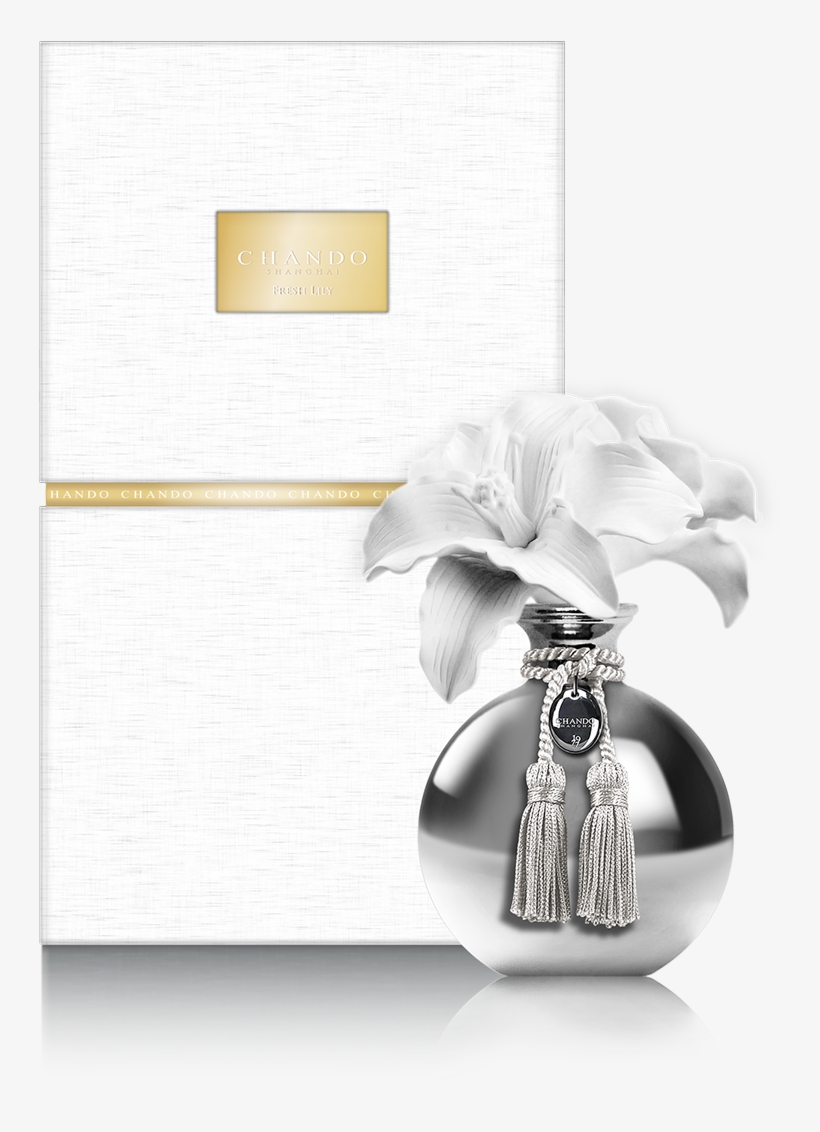 Still Life Photography, transparent png download