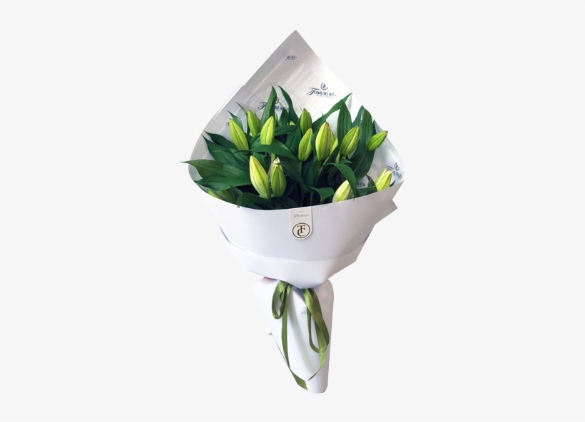 Tulip, transparent png download
