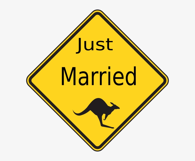 Turn Around Dont Drown, transparent png download