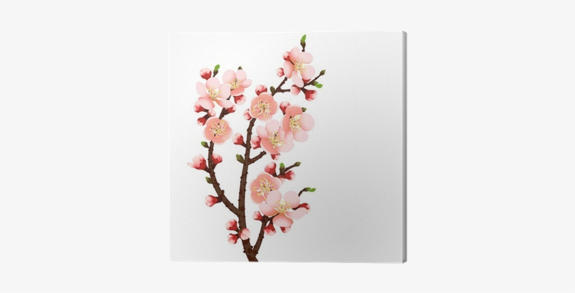 Cherry Blossom Branch Abstract Background Canvas Print - Cherry Blossom, transparent png download