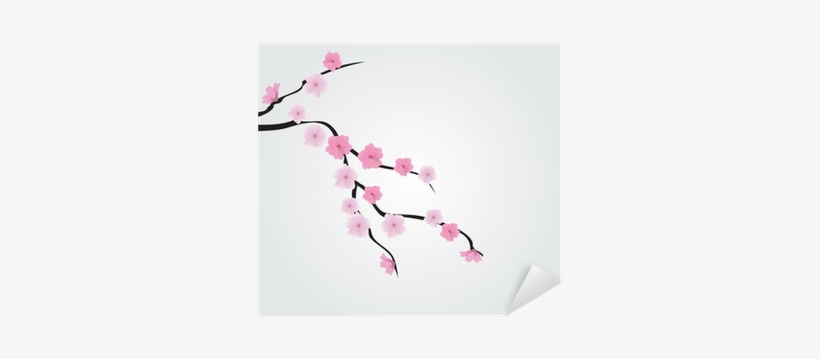 Cherry Blossom, transparent png download