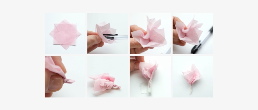 Say Hello To Spring With A Blooming Branch Of Pink - Garden Roses, transparent png download