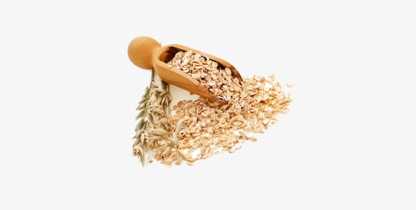 Oatmeal 'n Honey - Honey & Oatmeal Png, transparent png download