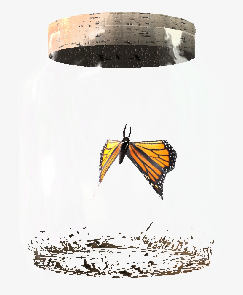 Tesv Butterfly In A Jar Crop - Skyrim Butterfly, transparent png download