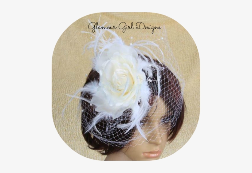 Wedding Veil Png Birdcage Wedding Veil In White Free - Flower And Feather Birdcage French Net Bridal Wedding, transparent png download