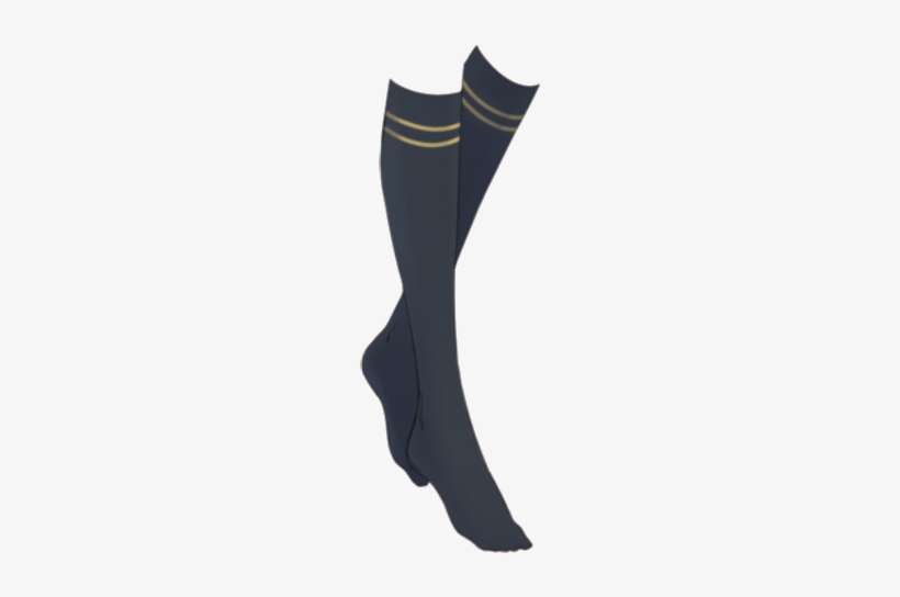 Nikki Student Sports Socks - Hockey Sock, transparent png download