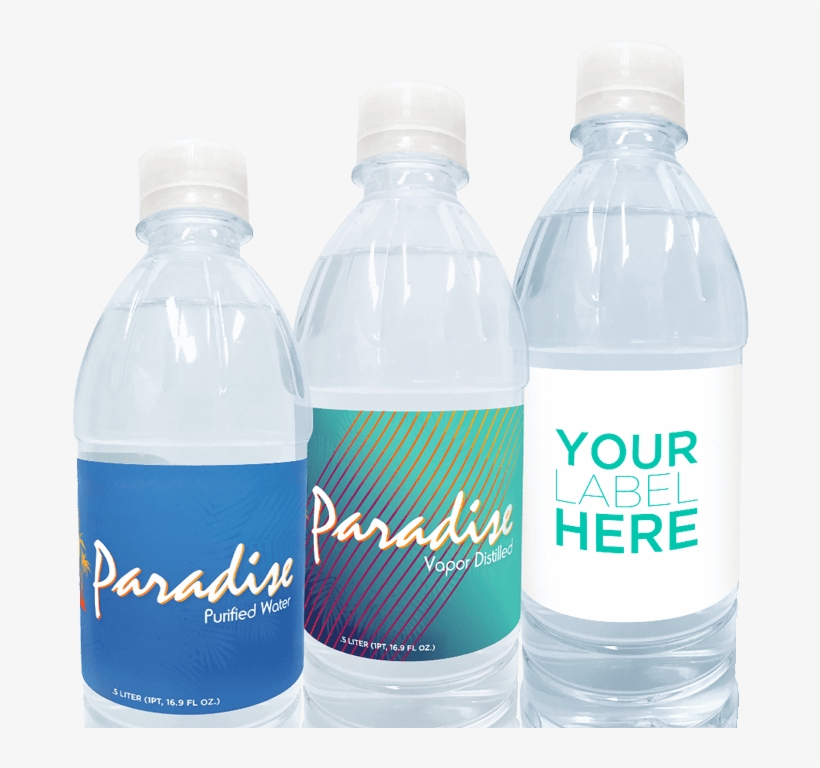 Water Bottle Label - Dj Tiesto Forbidden Paradise, transparent png download