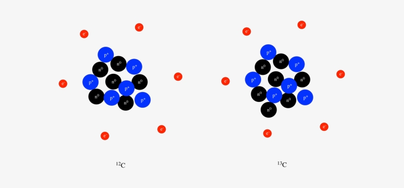 Neutrons Are Also In The Nucleus - Proton, transparent png download