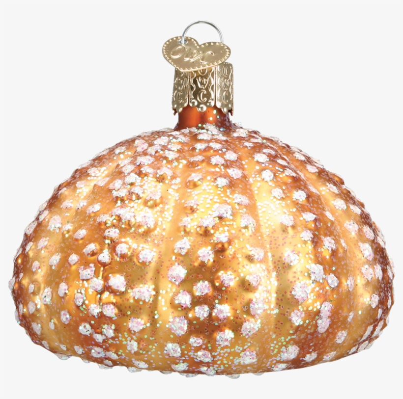 Sea Urchin - Sea Urchin Ornament, transparent png download