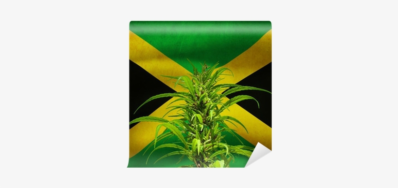 Flag Of Jamaica, transparent png download