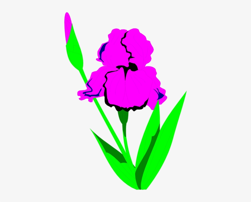 Png Library Stock Clip Art Free Panda Images - Clip Art, transparent png download