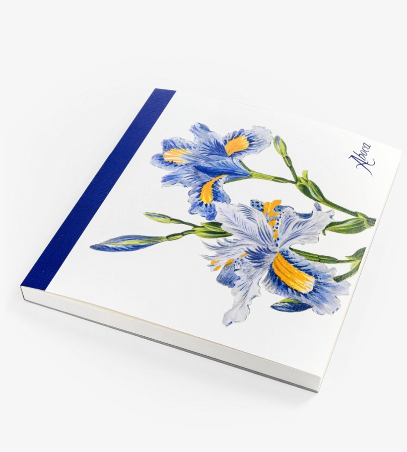 Picture Of Flower Desk Iris - Flower, transparent png download
