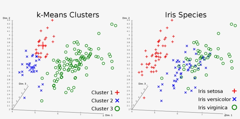 Open - K Means Pixel Clustering, transparent png download