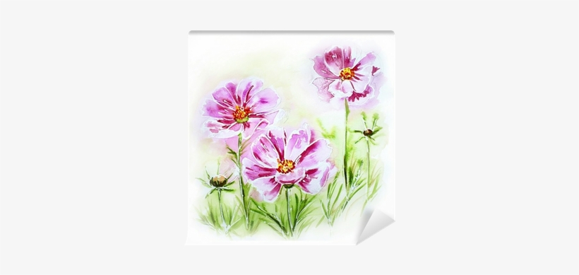 Painted Watercolor Card With Cosmos Flowers Wall Mural - Evsimo Dekoratif Yastık 40x40 Cm - (452-13085), transparent png download