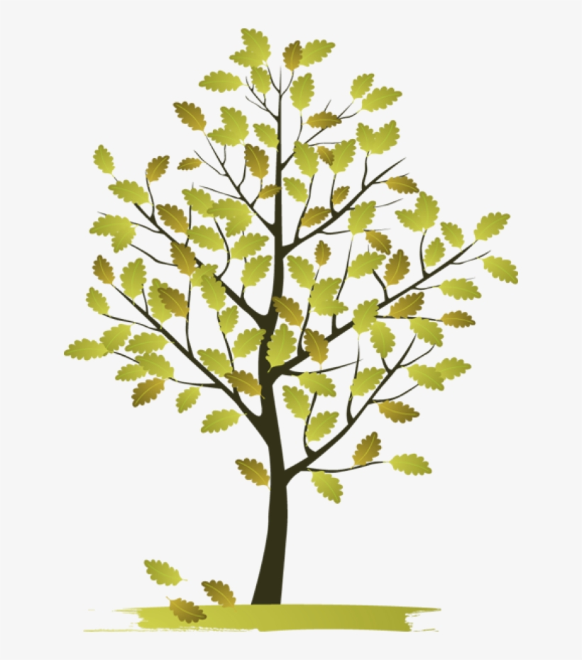 Autumn Tree Clip Art 5reqcw Clipart - Natural Beauty Clip Art, transparent png download