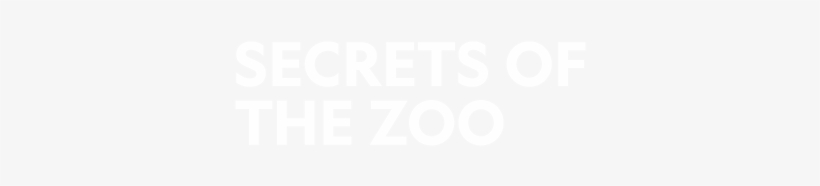 See All - Samsung Logo White Png, transparent png download