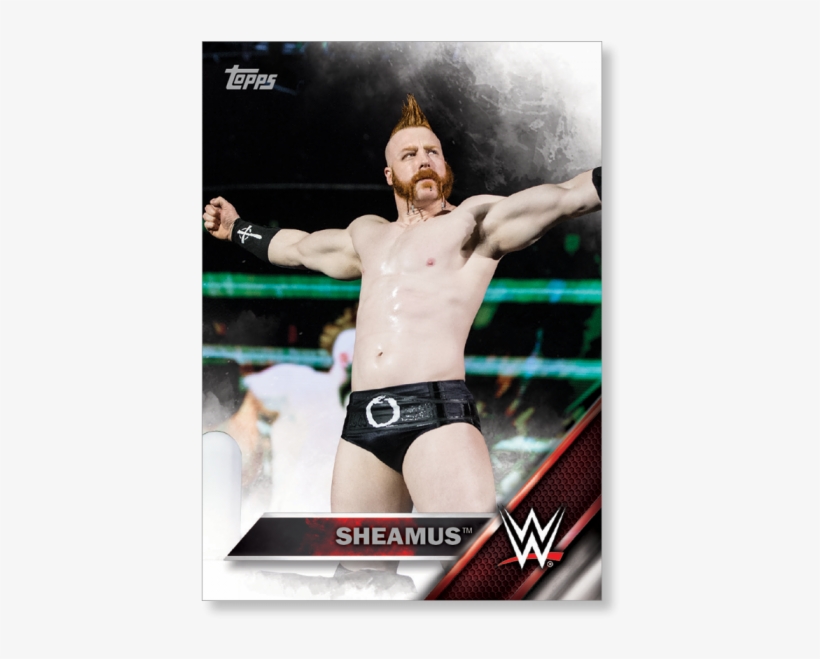 Sheamus - Wwe 2k, transparent png download