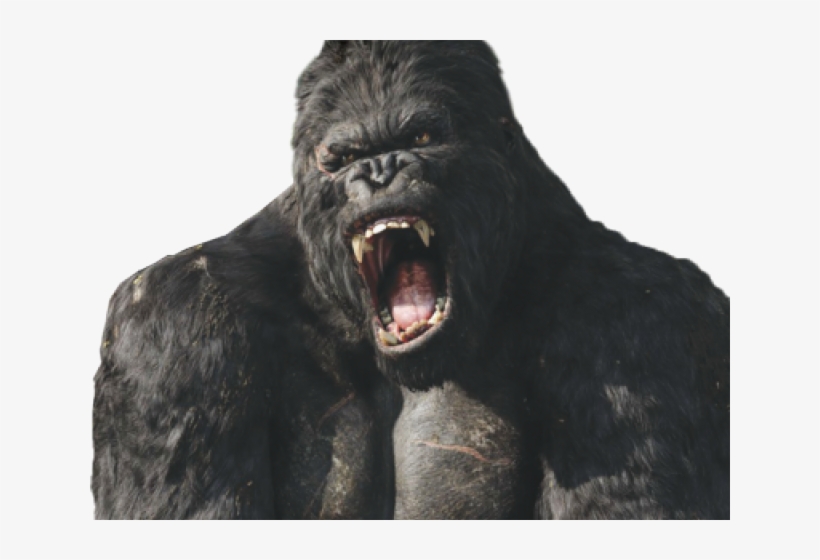 Hong Kong Clipart Gorilla Head - King Kong No Background, transparent png download
