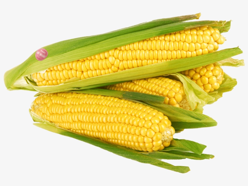 Corn Kernels, transparent png download