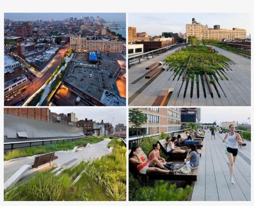 Highline Park, Manhattan, New York - High Line, transparent png download