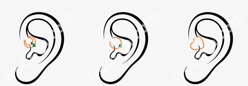 Captive Ball Rings, Segmented Earrings, Micro Banana,, transparent png download