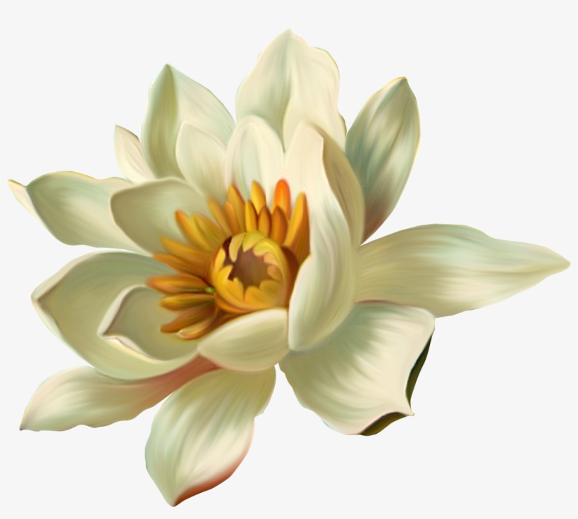 Quoted Lotus Flower, transparent png download