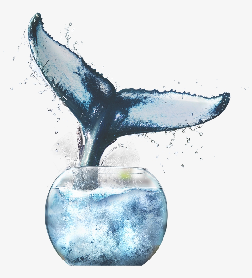 Intelligent Codec - Sketch, transparent png download