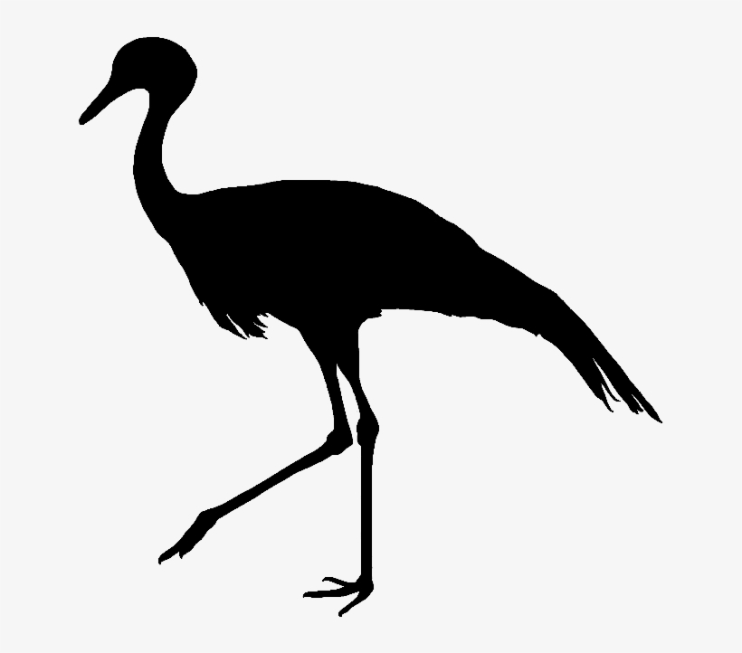 Crane Clipart Blue Crane - Blue Crane Bird Silhouette, transparent png download