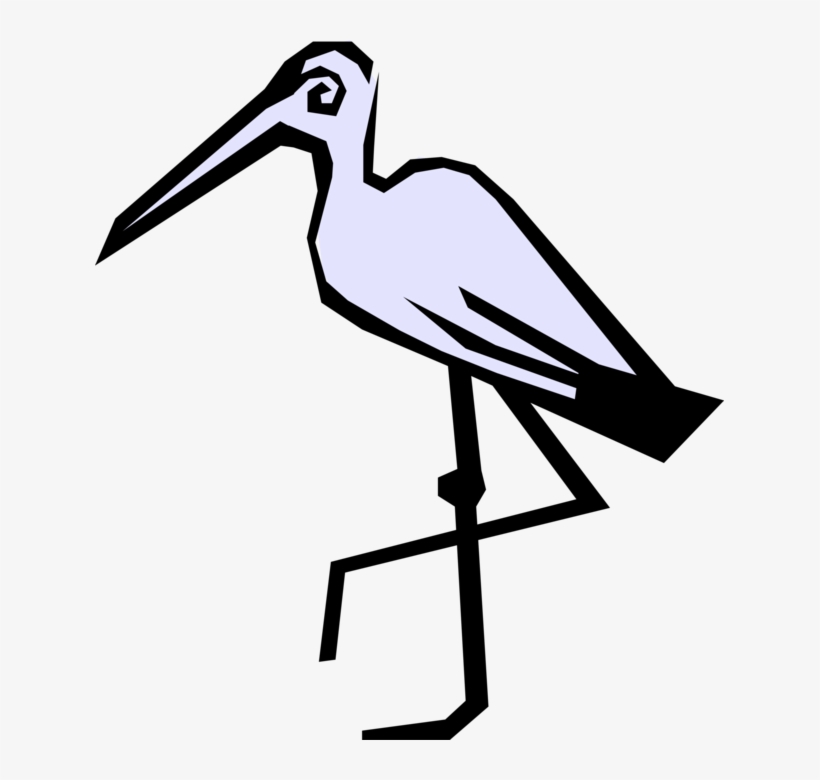 Vector Illustration Of Egret Crane Bird Stands On One - Stork, transparent png download