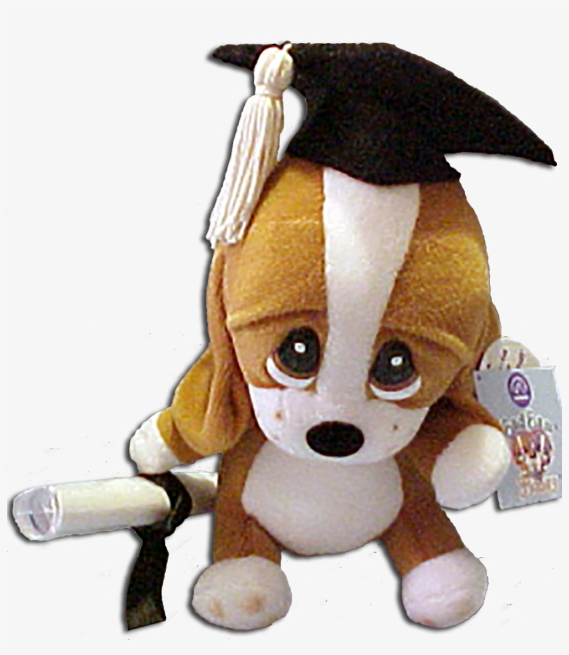 Graduation Plush Sad Sam With Personable Diploma Basset - Stuffed Toy, transparent png download