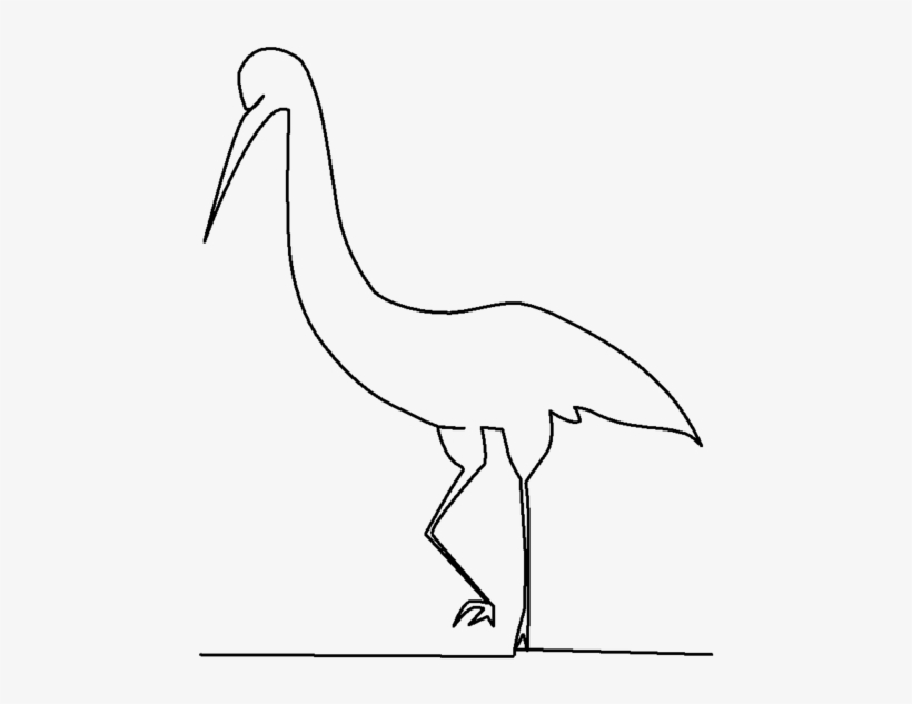 Ostrich, transparent png download