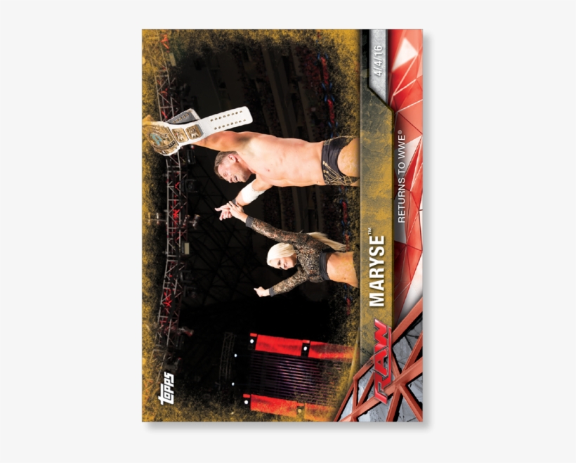 Gallery - Cat Jumps, transparent png download