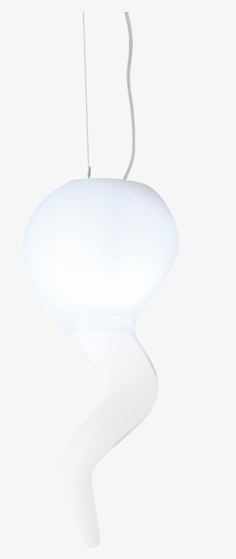 Png Model - Light PNG Image | Transparent PNG Free Download on SeekPNG