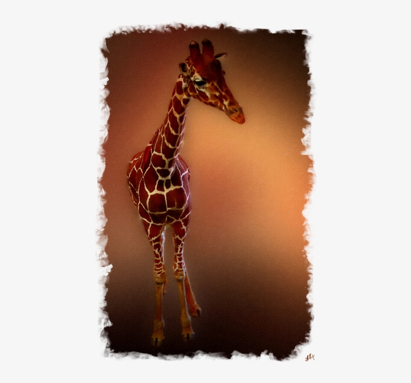 Click And Drag To Re-position The Image, If Desired - Giraffe, transparent png download