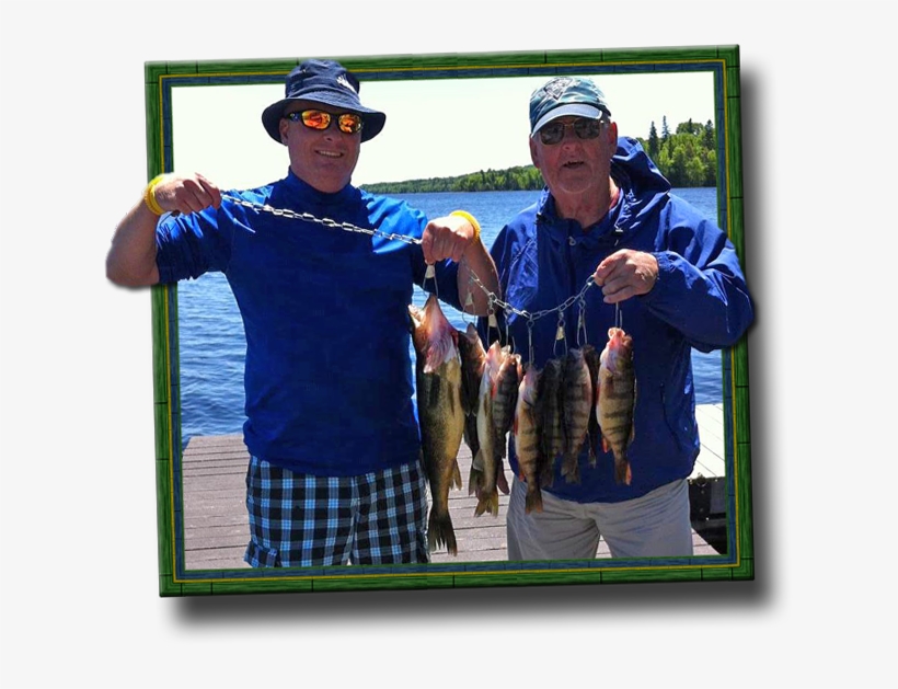 In Lake Mattagami, You Will Catch More Walleye Than - Pull Fish Out Of Water, transparent png download