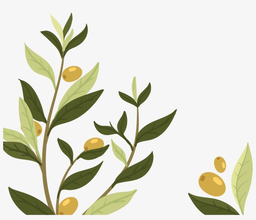 1388 X 1125 4 - Nature Republic Ultra Hydrate Olive, transparent png download