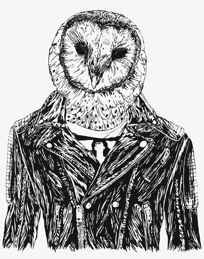 Front Image - Sketch, transparent png download