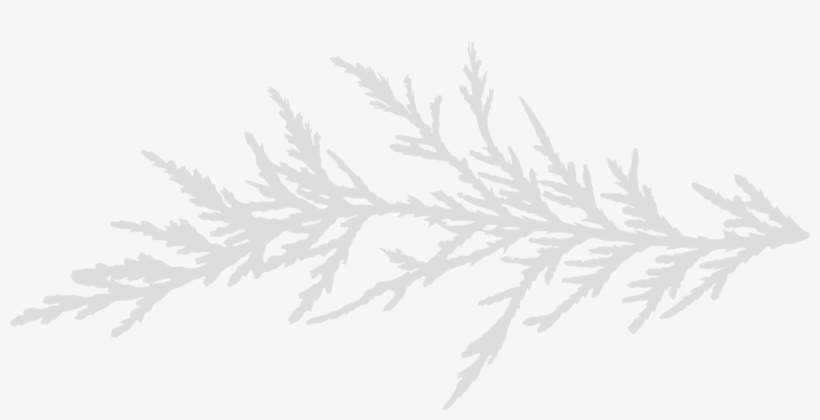 Homedistinctly Cresta Bellayour Personal Dentistbe - Sketch, transparent png download