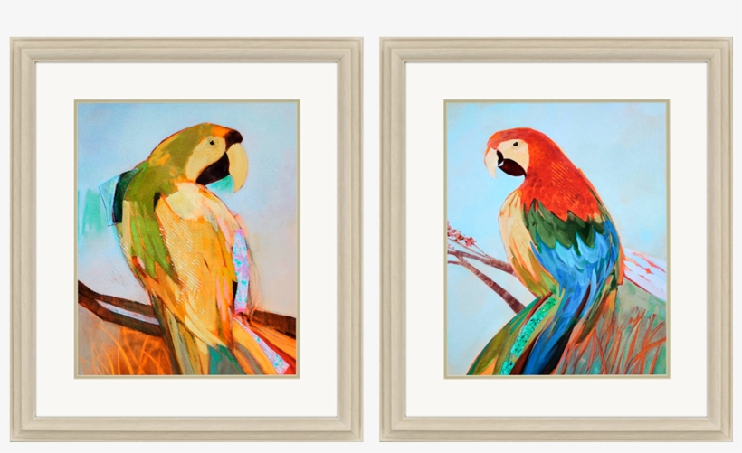 Parrot Wonder Pk/2 - Macaw, transparent png download