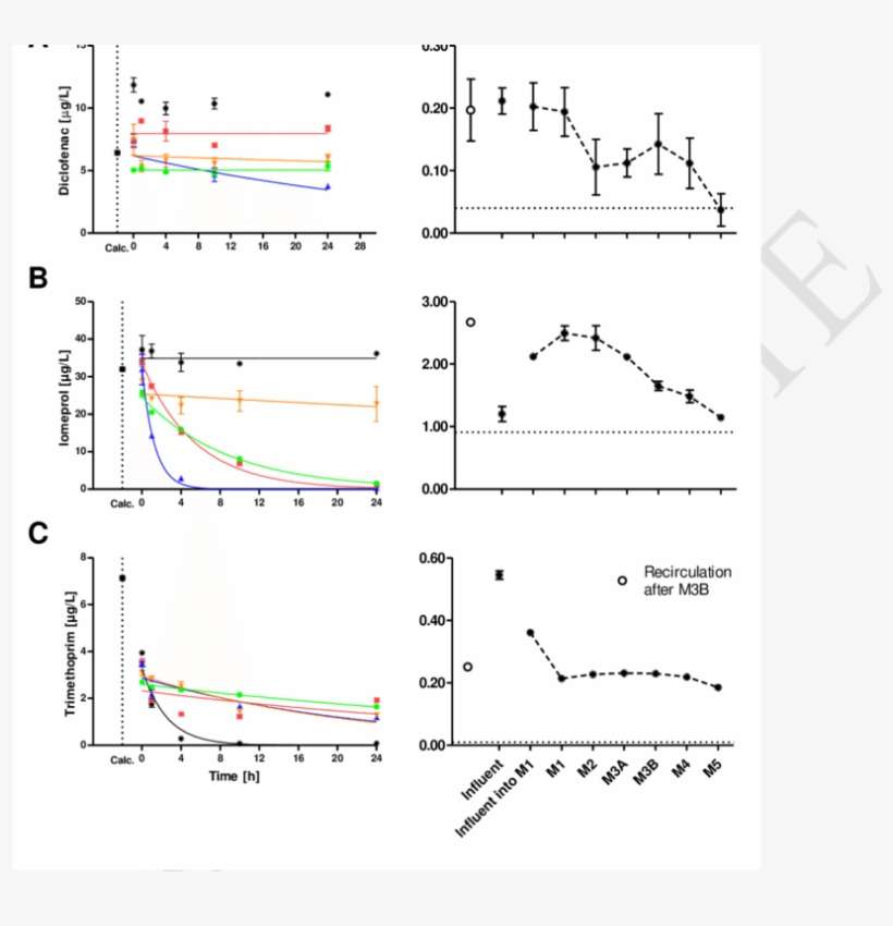 First-order Kinetics Fitted Curve For The Batch Experiment - Diagram, transparent png download