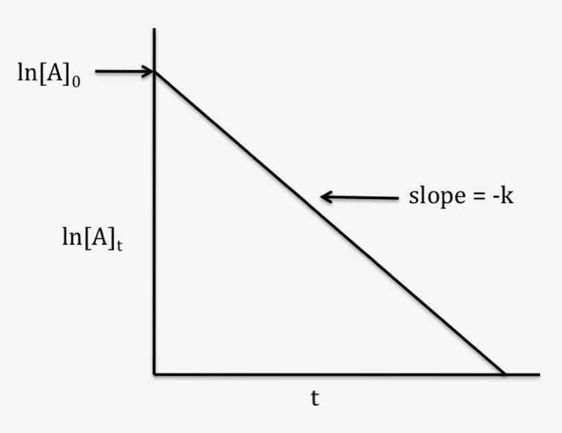 First Order Rxn Graph - Graph For 0 Order Reaction, transparent png download