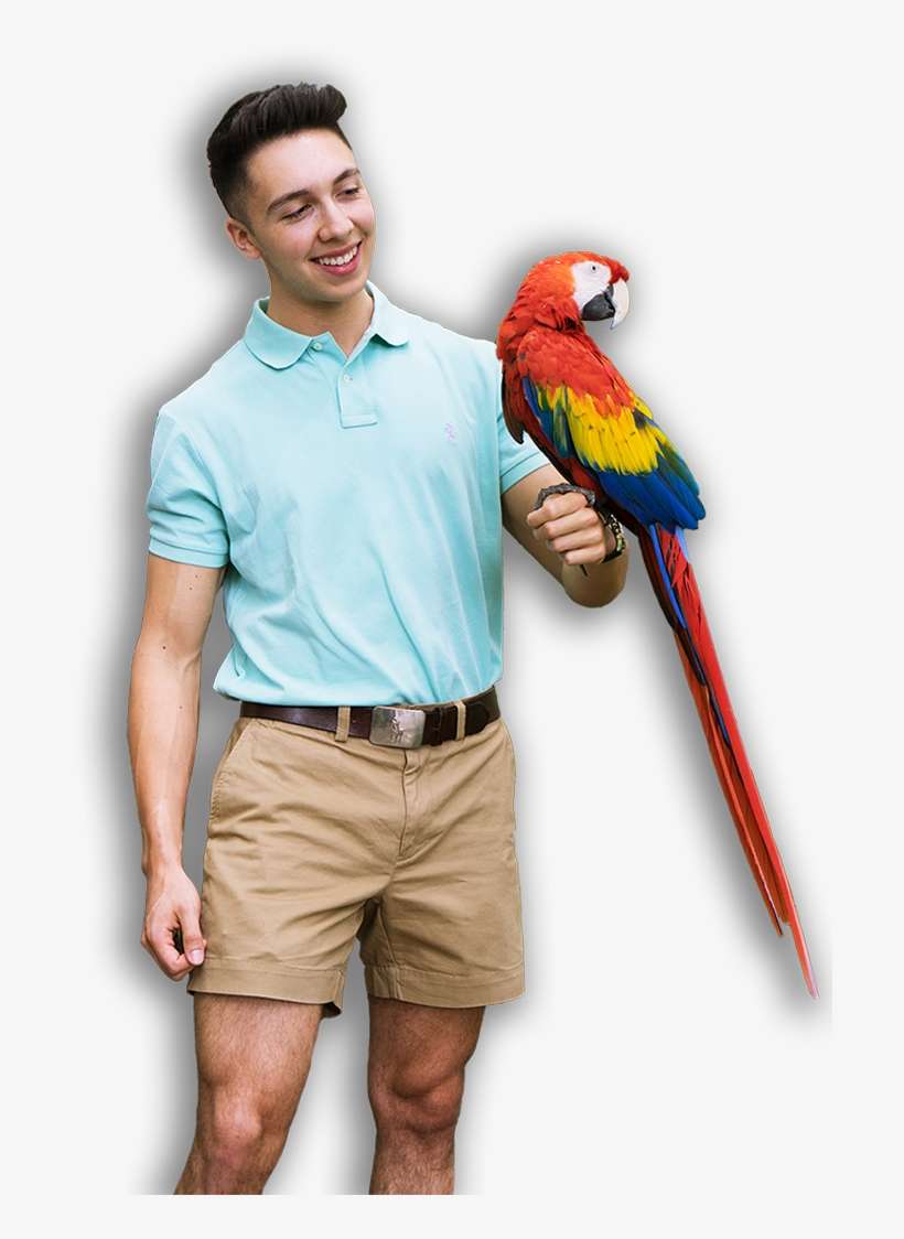 Boy And Parrot, transparent png download