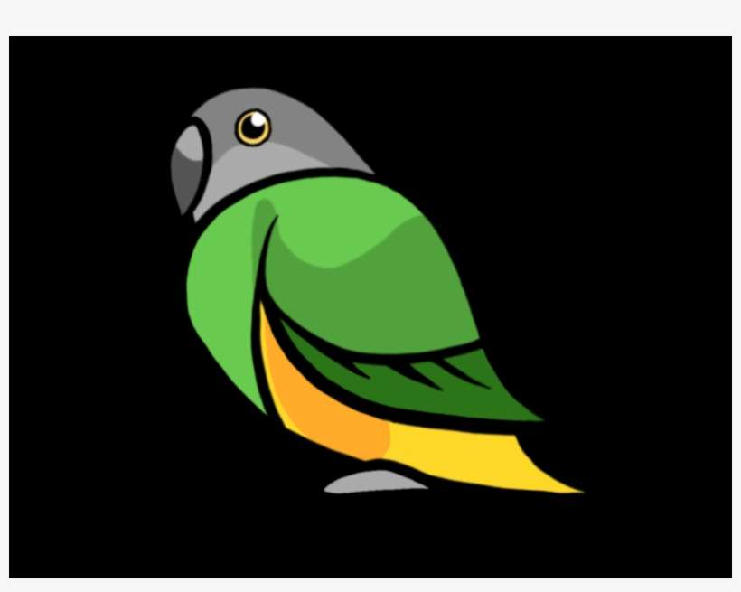 Parakeet, transparent png download