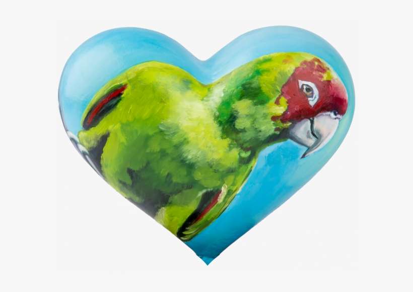 2018 Mini Heart By Barbara Libby-steinmann "san Francisco - Heart In Parrot, transparent png download