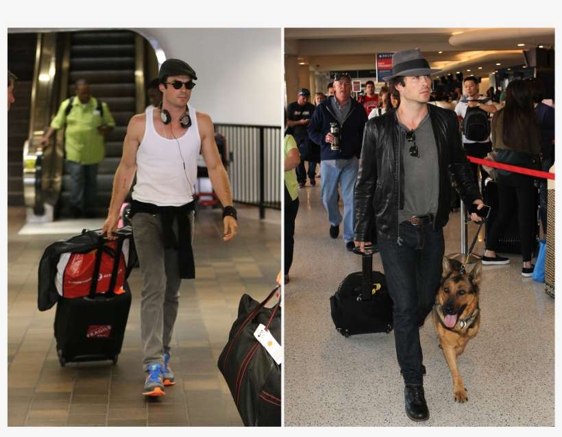 Celebrity Luggage Airport, transparent png download