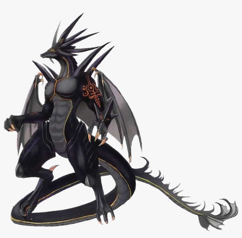 Black And White Dragon Pictures - Fire Emblem Dragones, transparent png download