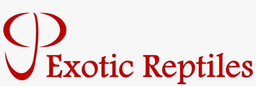 Cjp Exotic Reptiles - Poster, transparent png download