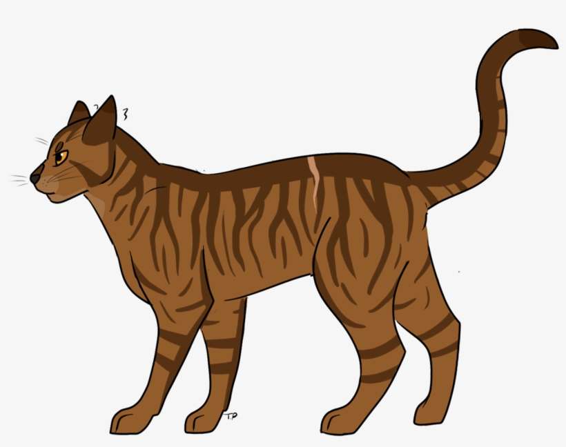 Warrior Cats Brackenfur, transparent png download